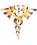 Dr-ANdro