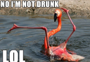 Im not drunk
