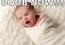 Bebis