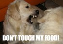 Egoistisk hund!