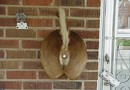 Ringklocka