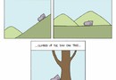 Hippo