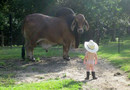 Baby vs 