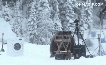 Björn tvättar päls jacka