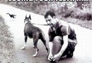 Rastar hunden