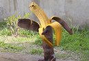 wtf is that