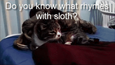 Sloth