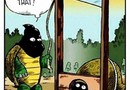 Sköldpadda