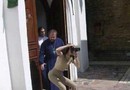 No father, don't