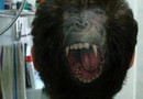 Udda tatuering
