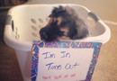 Timeout