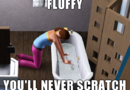 Badar katt i the sims