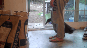 Round and round