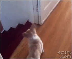 Barrel roll