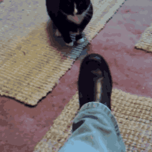 Katattack