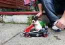Going for a drive