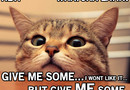 Tiggande katt