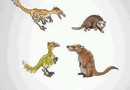 Evolution is a bitch