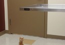 Väntar på veterinären