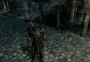 Skyrim bugg