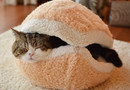 Cat Burger