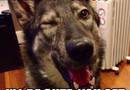 Best wingman ever!