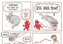 Katthumor
