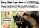 Information om hundbet i USA