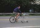 Bara en vanlig cykel