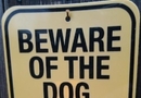 Beware of the dog