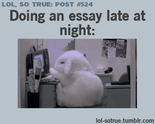 Att skriva uppsats på kvällen