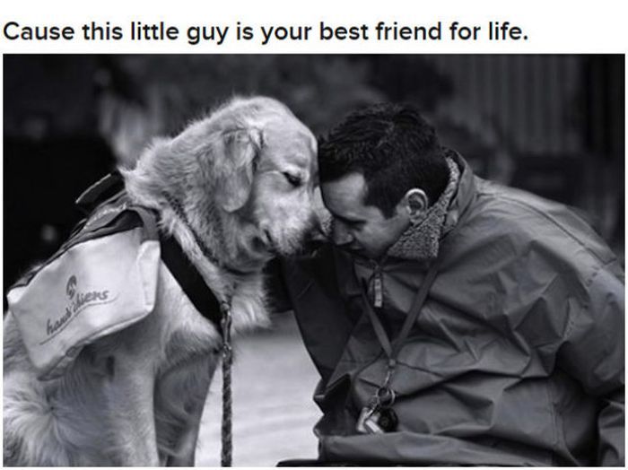 Varför hunden är människans bästa vän