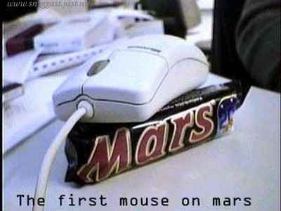 First mouse on mars