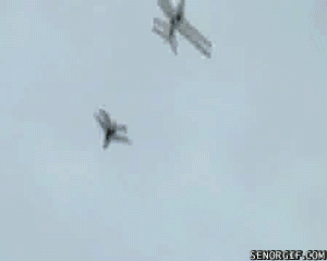 Fågel attackerar leksaksflygplan.