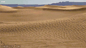 Vågor i ett hav av sand