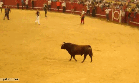 Skillad matador