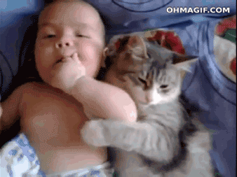 Bebis och katt kärlek