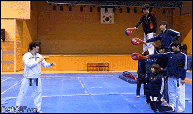 Amazing Martial Arts Kick