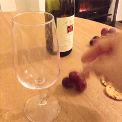 Hur man gör vin