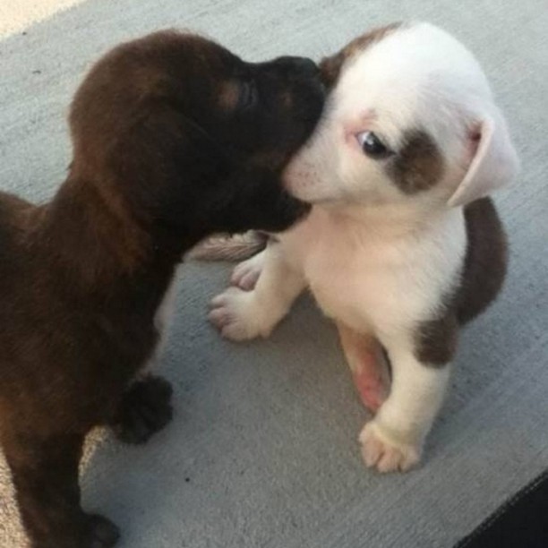 Den första kyssen är alltid pinsam