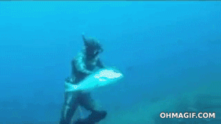 Hajen tar fisken från mannen