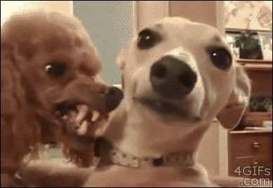 Scen i alien återskapad utav hundar