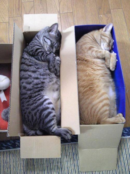 if i fits i.. zzz