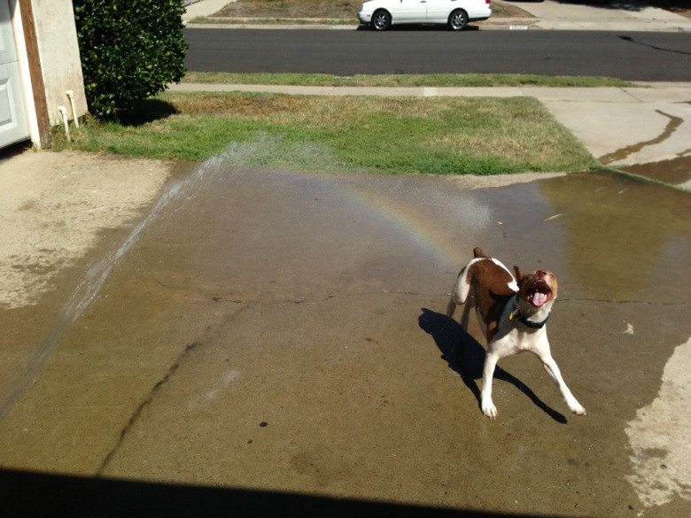 Rainbow fart