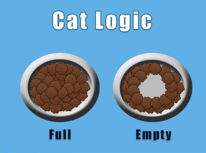 Katt logik