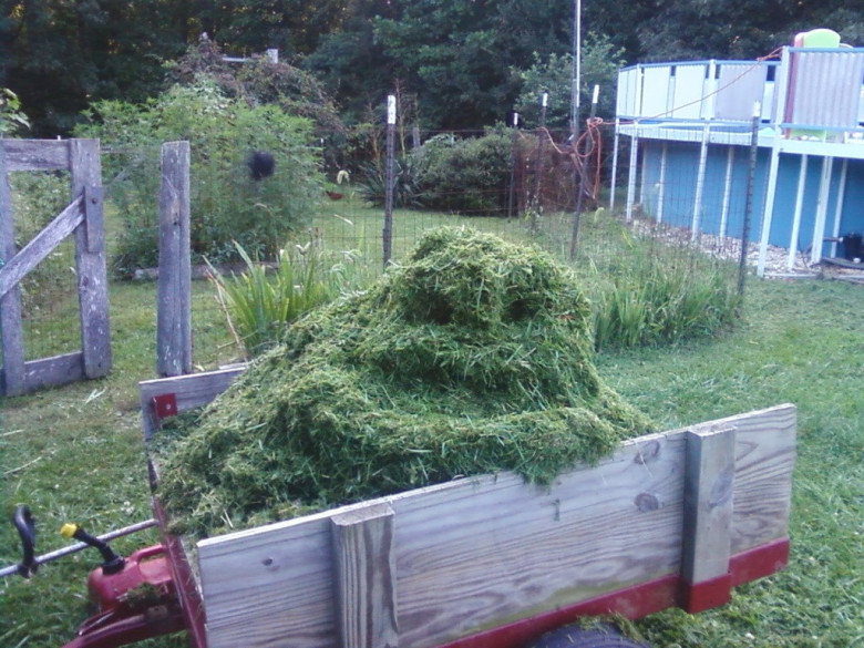 Jabba the grass