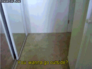 Vill du gå ut