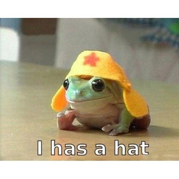 I has a hat