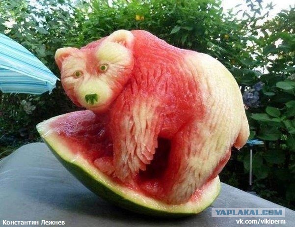Björn med vattenmelon