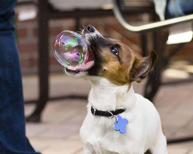 Brought you a bubble